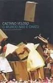 Caetano Veloso - O mundo não é chato