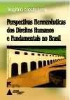 Perspectivas hermeneuticas dos direitos humanos
