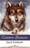 Caninos brancos