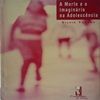 A morte do imaginario na adolescencia