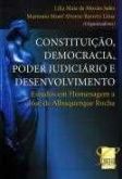 Constituição, democracia, poder judiciário e desenvolvimento